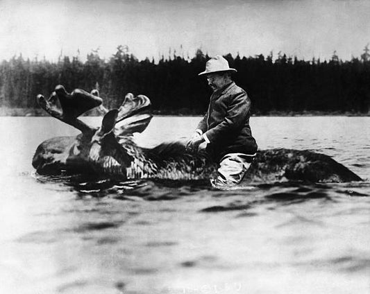 Discover the Iconic Legacy of President Roosevelt