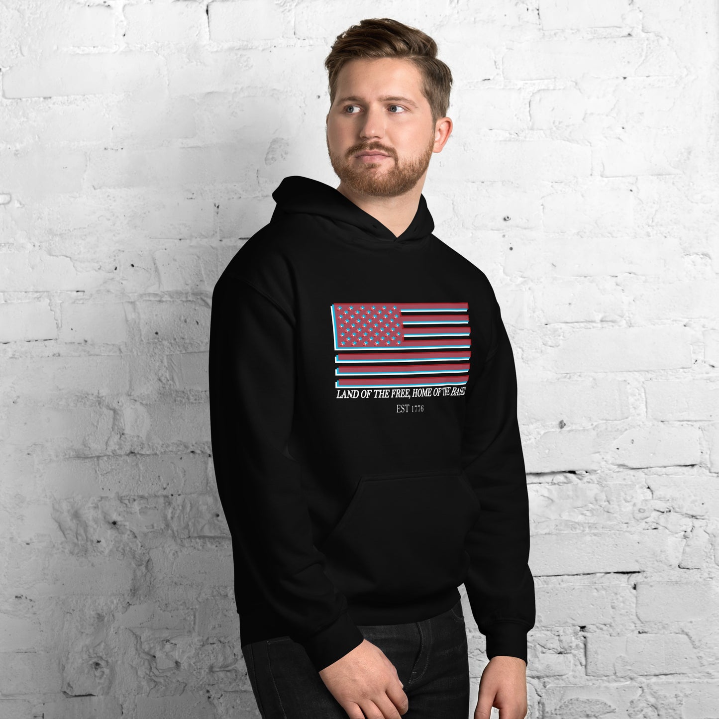 Land Of The Free Hoodie (Standard fit)